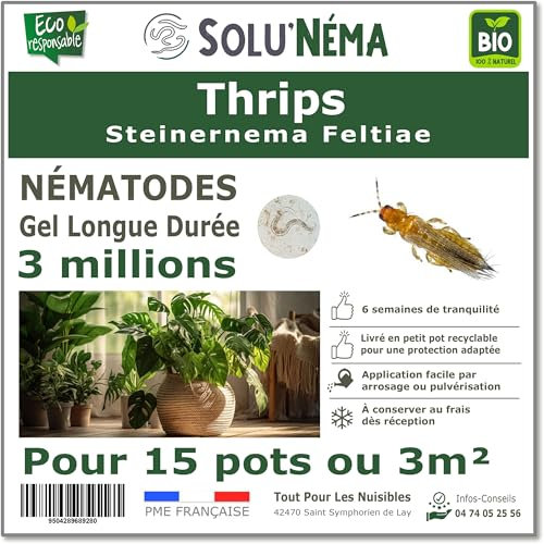 SOLUNEMA - Nématodes Contre les Thrips 3 Millions Longue Durée