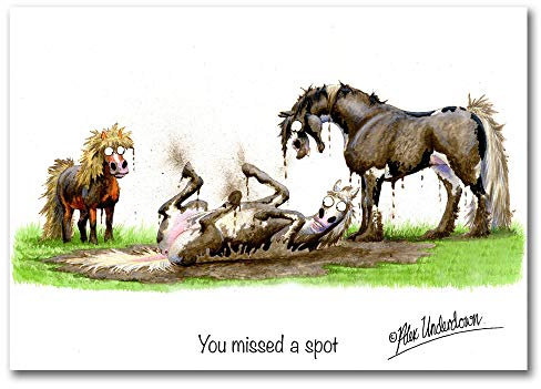 Pferd Grußkarte YOU MISSED ein Spot von Alex Underdown
