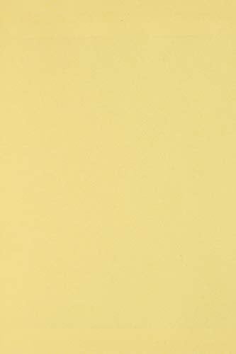 Netuno 100 x Tonkarton DIN A4 210x 297 mm Hellgelb 250g Burano Giallo Bastel-Karton farbig Fotokarton A4 bunt Karton Hochzeit Taufe Weihnachten Geburtstag DIY-Karten buntes Tonpapier