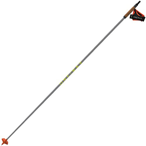 Fischer Storm 6 Nordic Poles Race, Farbe: Ghost Grey, Größe: 160 (OZ42721-160)