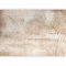 murando Fotomurales autoadhesivos Hojas Palma 245x175 cm Papel Pintado coración Pared Murales Pegatina corativos adhesivos 3d Fotográfico Palmeras Motivo Floral Naturaleza b-A-10289-a-a