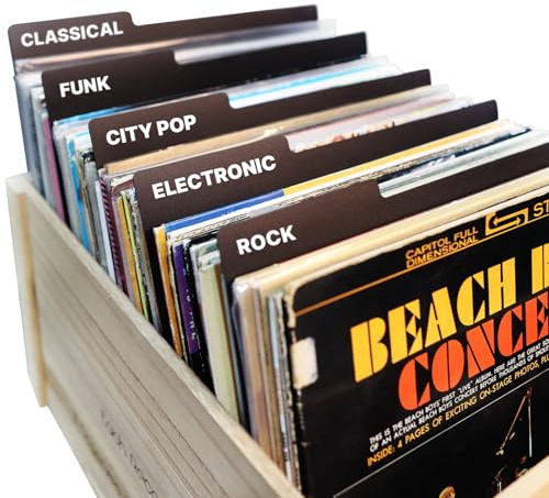 30,5 cm Schallplatten-Trennblätter, wiederverwendbar, doppelseitig, Kunststoff, Trennblätter, Trennblätter für DIY-Album, Vinyl LP, Organisation von Vinyl-Schallplatten und DVDs (10)