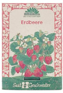 5x Saatgut Erdbeere – Samenfest & hochwertig | Erdbeer-Samen für aromatische Walderdbeeren aus eigenem Anbau | Liebevolle Verpackung aus Zuckerrohrpapier | Süßes Geschenk für Erdbeerliebhaber