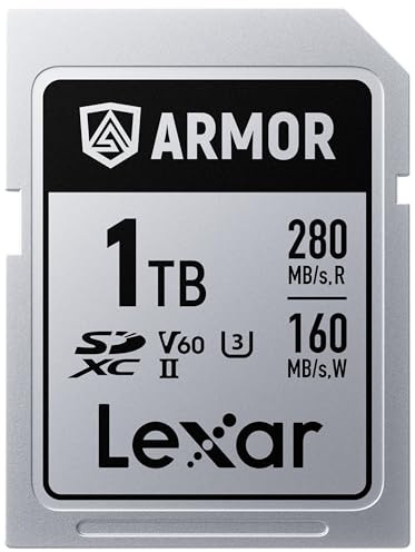 Lexar 1TB Armor Silver PRO SDXC Memory Card, UHS-II, C10, U3, V60, 6K UHD, Up to 280MB/s Read, Stainless Steel, for Professional Photographer, Videographer, Enthusiast (LSDAMSP001T-RNNNU)
