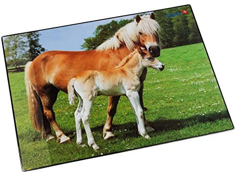 Läufer 46587 Schreibtischunterlage Pferd und Fohlen, 53x40 cm, rutschfeste Schreibunterlage für Kinder, Zubehör für Kinderschreibtisch, mit transparenter Seitentasche