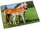 Läufer 46587 Schreibtischunterlage Pferd und Fohlen, 53x40 cm, rutschfeste Schreibunterlage für Kinder, Zubehör für Kinderschreibtisch, mit transparenter Seitentasche