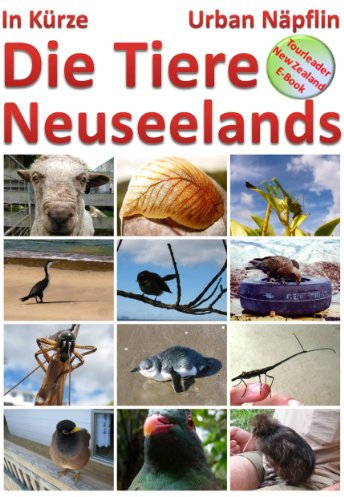 Die Tiere Neuseelands in Kuerze: Kurze Einführung zu den interessanten und einzigartigen Tieren Neuseelands