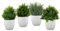 Urban Trends 42218-AST Buchsbaum-Formschnitt-Sortiment aus Polyurethan, Natur-Finish, Grün