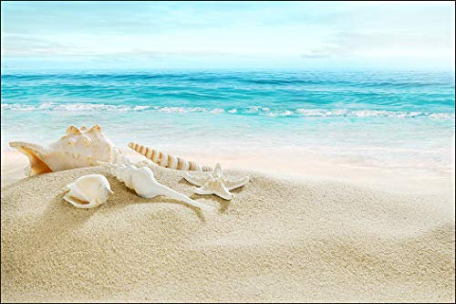 Muralo Fototapete Strand 60 x 90 cm Vlies Tapete Wandtapete Sand Muscheln Meer Wellen Himmel Wohnzimmer Schlafzimmer Moderne Wandbilder XXL Natur Panorama Wasser Wand Dekoration