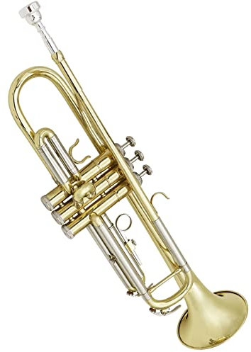 Vergoldete, versilberte B-Profi-Trompete mit Mundstück und Koffer. Blasmusikinstrument Standard Trompete