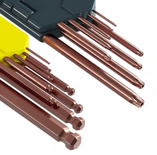 Juego de Llaves Allen y Torx Inviolables, 19 Piezas Agujero Magnetizador S2 | Torx Inviolables con Agujero · Magnetizador Incluido · Punta Bola 25° · Ideal Bici, Taller y Bricolaje