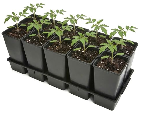 Garronda Anzuchtschale 10 Plätze mit 2 L Pflanztöpfen hoch Set Transporttray Kunststoff für Gewächshaus Garten Anzuchtsysteme mechanischen Transport Schwarz GD-0208
