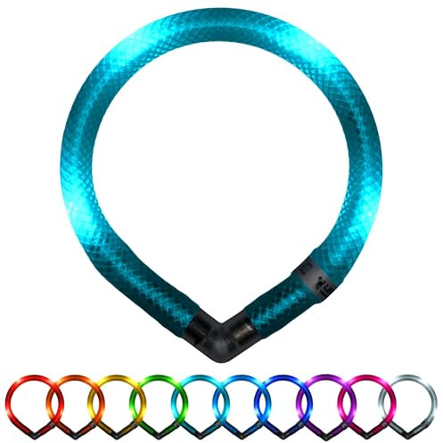 LEUCHTIE® Mini Leuchthalsband Hund batteriebetrieben, wasserdichtes LED Halsband, Leuchtband für Hunde 50 h Leuchtdauer, enorm hell für kleine Hunde, türkis Größe 32,5