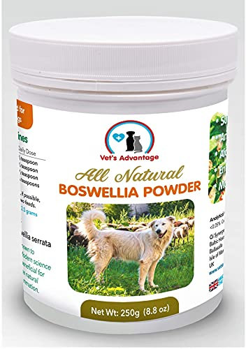 Vet's Advantage 100% Pure Boswellia Powder for Dogs - Maintaining Healthy Joints and Hips
