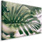 Muralo Leinwandbilder 120x80 Natur Pflanzen Blätter Monstera Grün Exotisch Canvas Wandbild Kunstdruck Schlafzimmer Wohnzimmer Wanddekoration Design XXL Br. 120 cm x Hö. 80 cm Br. 120 cm x Hö. 80 cm
