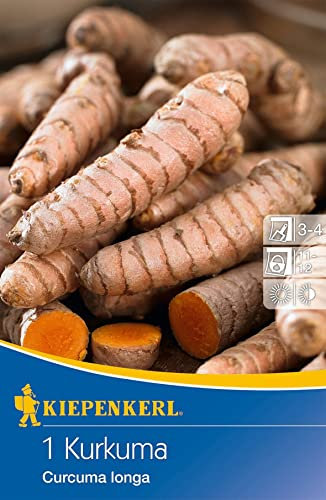 Kiepenkerl