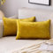 EMEMA Samt Kissenbezug Kissenhülle Dekorative Dekokissen Sofakissen Lendenkissen Wurfkissenbezug mit Verstecktem Reißverschluss Schlafzimmer Sofa 2er Set 40x60 cm Golden Luxuriös