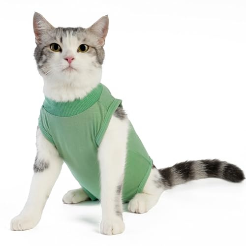 kzrfojy Cat Recovery Suit Cat Onesie for Cats After Surgery Female Male Spay Kitten Neuter Surgical Bodysuit Post Surgery Cone of Shame Alternative Anti Licking(Green, Medium)