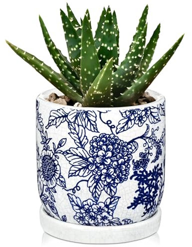 Hollyone Vaso per piante in ceramica blu, 14 cm, con sottovaso e foro di drenaggio, vaso decorativo da giardino con smalto craquelé, ceramica per fiori fatti a mano per piante grasse, cactus, erbe
