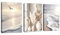 3Pcs Boho Beige Pampasgras Bilder Set, Modern Küstenlinie Landschaften Wandbilder mit Rahmen, Modern bild auf Leinwand Wandkunst Kunstdruck Deko für Wohnzimmer Schlafzimmer Küche Esszimmer 30x40cmx3