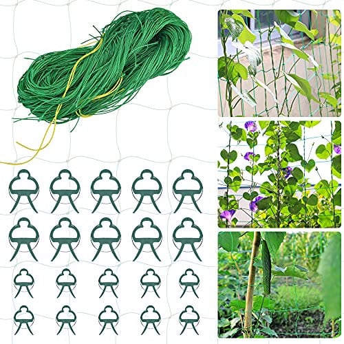 CODIRATO 1,8x3,6m Ranknetz Pflanz Stütznetz Garten Rankhilfe Netz Tomaten Gurken Gartennetz mit Pflanzenclips Pflanzen Kletternetz 10 * 10cm Kletterpflanzen Netz Pflanzennetz für Garten Gewächshaus