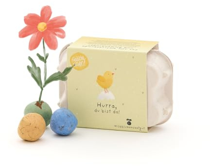 Wachsendes Geschenk zur Geburt | 6 bunte Saatkugeln mit Wildblumen-Saatgut im Mini-Eierkarton | Hurra, du bist da – Nachhaltiges Babygeschenk für Jungen & Mädchen, zur Geburt, für Mama & Papa