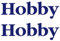 myrockshirt 2 x Hobby Aufkleber Aufkleber Wohnmobil Camper Wohnwagen Caravan Camping Sticker ca.30cm Aufkleber Autoaufkleber Sticker Decal ohne Hintergrund UV&Waschanlagenfest