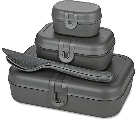 Koziol PASCAL READY Lunchbox-Set + Besteck-Set nature ash grey