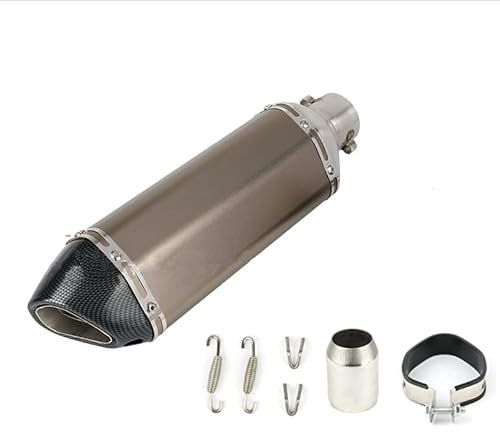 Tubo di Scarico Silenziatore Moto da 31 cm, Universale con Interfaccia 38-51MM per Moto da Cross e da Strada, Scooter, Quad