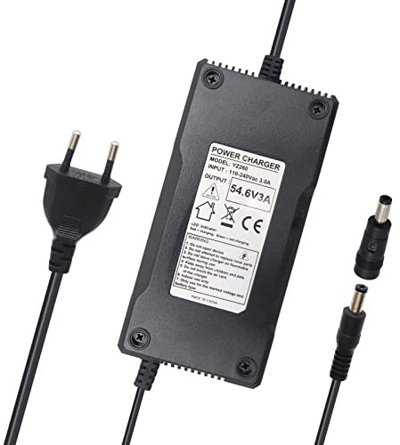 xiixtoo 54,6V 3A Netzteil Ladegerät Ladekabel für 13S 48V Lithium Batterie Akkus 5,5mm x 2,1mm Rundstecker mit 5,5mm x 2,5mm TIPP für E-Bike Elektrofahrrad Elektro Scooter