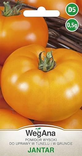 WegAna Tomate Jantar Tomatensamen 0,5g, Robuste Gemüsesamen, Gemüse Samen, Samen Anzucht, Saatgut für Gewächshaus