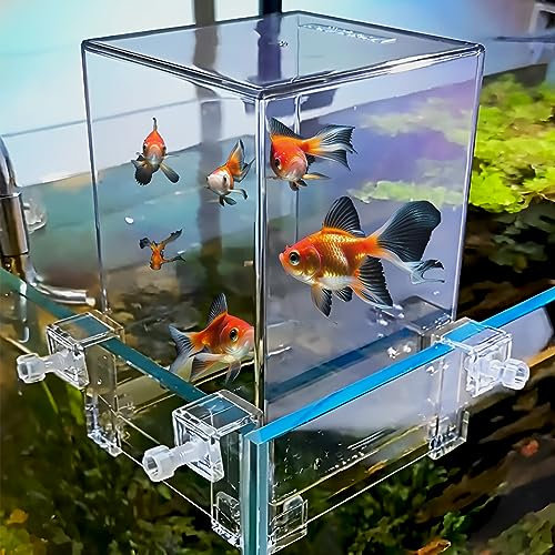 Crevyteg Klarer Unterdruck-Fischtank, Acryl-Fischturm-Antennenverlängerung, erhöht den Aktivitätsbereich der Fische, Aquarium-Dekoration für ökologische Landschaftsgestaltung, bequeme