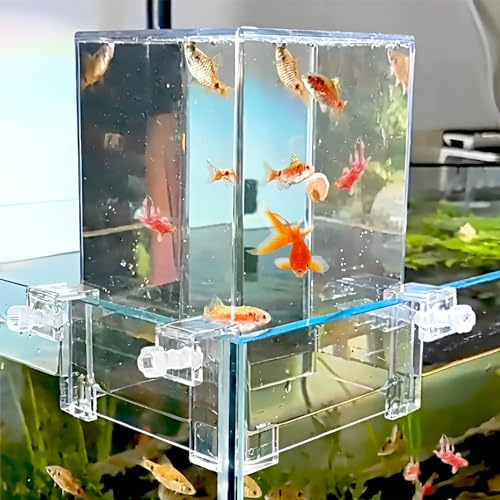RBFGYIOP Transparente Acryl Aquarium Turm - Negativer Druckeffekt - Fischheber - Erweiterung der aktiven Zone - Moderne Dekoration - Negative Pressure Fish Tower