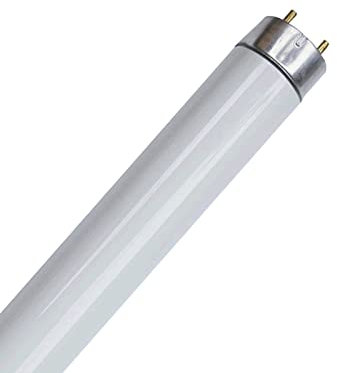 ZeXt Leuchtstofflampe 18W 36W 58W Leuchtstoffröhre 6400K – Tageslicht (18)