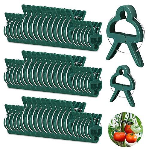 SAIJIAN 100 Piezas Clip para Plantas Clips de Fijación para Plantas Clip de Soporte para Plantas Clip de Jardín Reutilizable Abrazaderas para Plantas Clips Trepadores para Plantas (Pequeñas+Grandes)