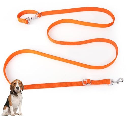 PETCOOZ Hundeleine 3 m Verstellbare Schleppleine mit 2 Karabiner, Verdickte Doppelleine Führleine für Kleine Mittelgroße Hunde, Freihandleinen Übungsleine aus Nylon, Orange