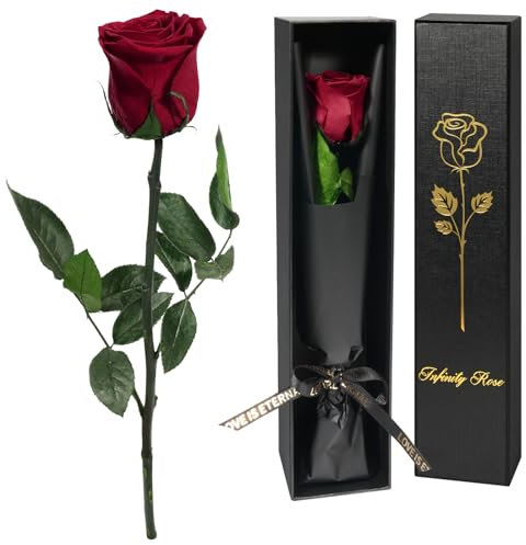 Yamonic Rose Eternelle Cadeau Femme,Vraie Rose avec Tige Cadeau Maman Noel Fleur Préservée en Coffret Cadeau Anniversaire Femme Fleur Eternelle Cadeau Femme Noel Saint-Valentin Fete des Meres