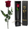 Yamonic Infinity Rose mit Stiel Geschenke für Frauen,Echte Rose Geburtstagsgeschenk für Frauen, Ewige Rose in Geschenkbox Geschenke für Mama,Blumen Frauen Geschenk Weihnachten, Rose Geschenk