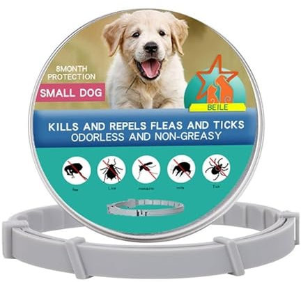 Collare Antiparassitario Preventivo Tempotech Originale ® a Rilascio Lento per Cani e Gatti - 8 Mesi di Protezione - contro Pulci, Zecche, Zanzare, Acari, Pidocchi - Dewormer Cani (38cm 1 Unità)