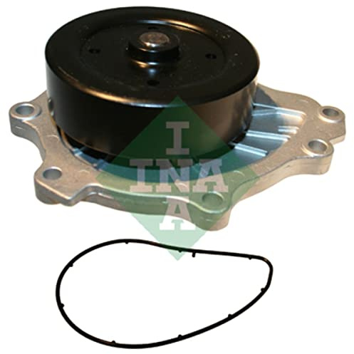 INA 538 0541 10 Coolant Motor