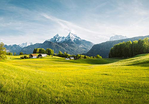 wandmotiv24 Fototapete Wiese Berge Gebirge, XL 350 x 245 cm - 7 Teile, Wanddeko, Wandbild, Wandtapete, Landschaft Alpen M6196
