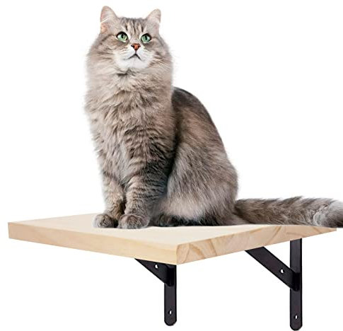 Scaletta per gatti Mensola per Gatti a Parete, Parete da arrampicata, Gradini per Gatti Scale in Legno Massello Scala Supporto da parete e mobili da Gioco, 20 x 25cm, 1 Scalini