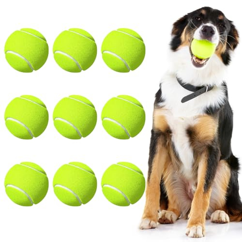 9 Stück Tennisbälle, Tennisball Hund, Tennis Bälle, Tennis Trainer | Tennisbälle Kinder, Tennis Balls, für Tennis Unterricht, Ballmaschinen, Anfänger und Hundespaziergänge