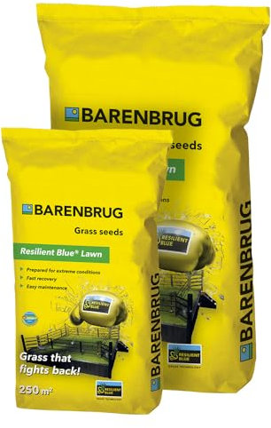 Rasensamen Barenbrug Resilient Blue Lawn 20 kg - Great in Grass - Toleranzgrassamen