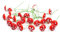 30 Stück Pilze Deko - Mini Pilze zum Basteln,Mini Rote Pilze,Gartenpilze Blumentopf Pilz Dekoration,Töpfe Dekoration, Tischschmuck für Garten Deko,DIY Potting Pflanzen,Micro Landschaft,2cm×1,7cm×7cm