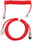 Yunseity Câble USB C spiralé pour Clavier mécanique, câble de Clavier spiralé à Double Manchon USB C vers USB A, avec aviateur en métal détachable Rouge