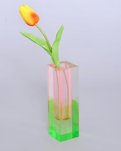 HLYU Acryl-Vase, Knospenvase für Tafelaufsätze, einzigartige eklektische Dekoration, niedliche Blumenvasen für modernes Zuhause, Büro, Schlafzimmer, Wohnzimmer, Esstisch (Rosa, Grün)