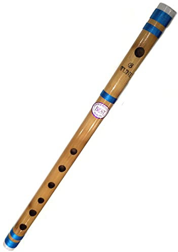 Flûte traversière indienne Bansuri pour débutants en bambou 35,6 cm