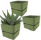 VIRSUS 3 Vasi quadrati con sottovaso per piante, misura 12x11 cm, design elegante, Fioriera per interno e per esterno, vaso per piccole piante grasse, resistente ai raggi UV (Olive)