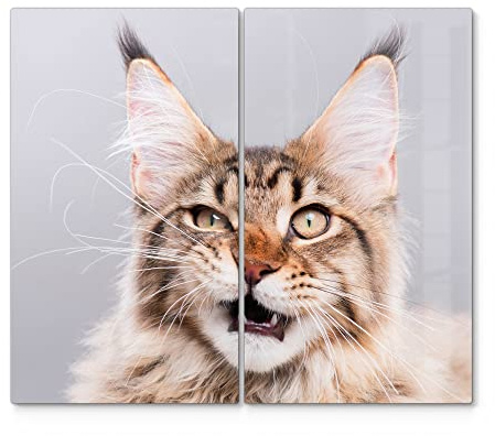 DEQORI Herdabdeckplatten Glas | 2er Set 60x52 cm | Motiv Maine Coon Katze faucht | Ceranfeld Abdeckplatten in Küche | Herd-Abdeckungen universal | Glasplatten & Schneidebretter für Kochplatte
